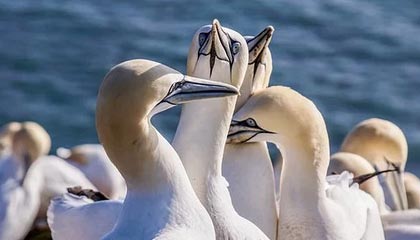 锡林郭勒盟高价上海医保提取2025的最新政策(2025年锡林郭勒盟上海医保怎么提取现金分享)