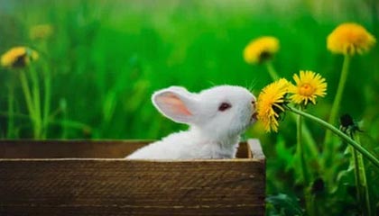 锡林郭勒盟24小时高价回收医保卡的最新政策(2025年锡林郭勒盟24小时高价回收医保卡电话分享)